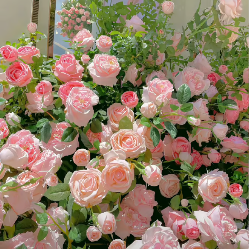 Climbing Rose Seeds ~ Transform fences into floral walls naturally~