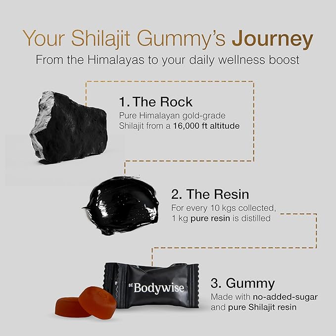 Pure Himalayan Shilajit Gummies ~ Natural Energy & Stamina in Every Bite
